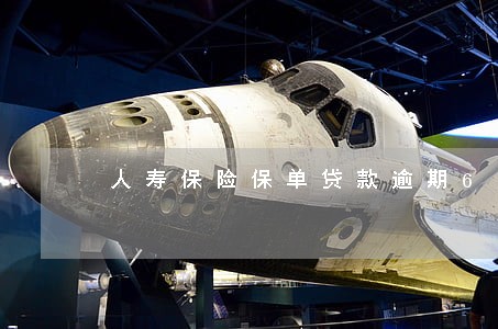 人寿保险保单贷款逾期6 人寿保险保单贷款逾期6