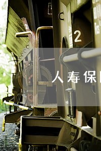 人寿保险贷款逾期了很长时间 人寿保险贷款逾期了很长时间