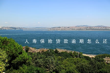 人寿保险贷款逾期怎么还