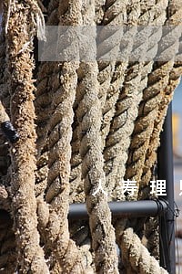 人寿理财险可以逾期嘛 人寿理财险可以逾期嘛