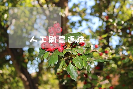 人工刷票违法 人工刷票违法