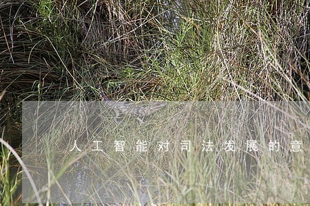 人工智能对司法发展的意义