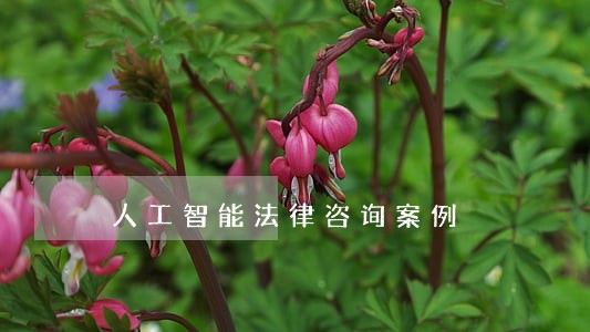人工智能法律咨询案例 人工智能法律咨询案例