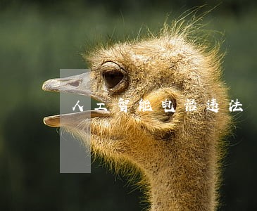 人工智能电话违法 人工智能电话违法