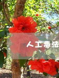 人工费法院判 人工费法院判