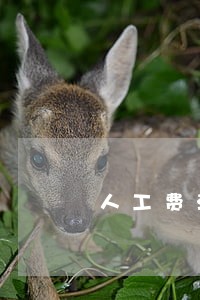 人工费法院起诉诉讼费怎么算 人工费法院起诉诉讼费怎么算