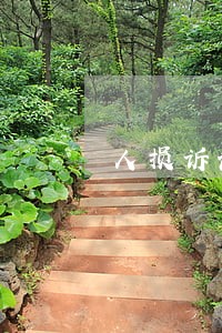 人损诉讼不请律师