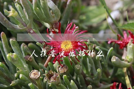 人损鉴定依据什么 人损鉴定依据什么