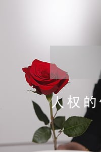 人权的保障论文