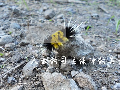 人权的司法保障的英文翻译