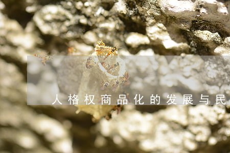 人格权商品化的发展与民法保护 人格权商品化的发展与民法保护