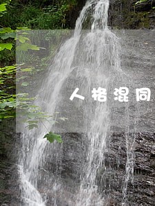 人格混同的诉讼管辖