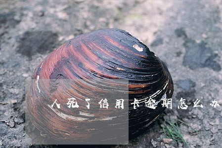 人死了信用卡逾期怎么办 人死了信用卡逾期怎么办