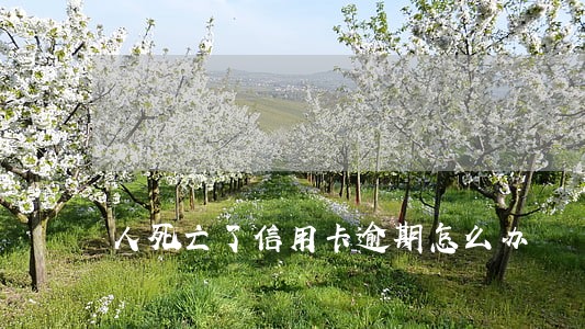 人死亡了信用卡逾期怎么办 人死亡了信用卡逾期怎么办
