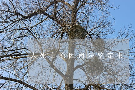 人死亡原因司法鉴定书 人死亡原因司法鉴定书