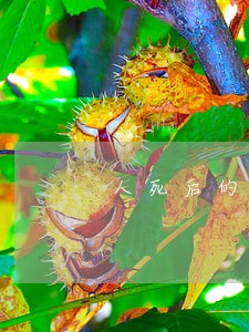 人死后的债务律师难度大吗 人死后的债务律师难度大吗