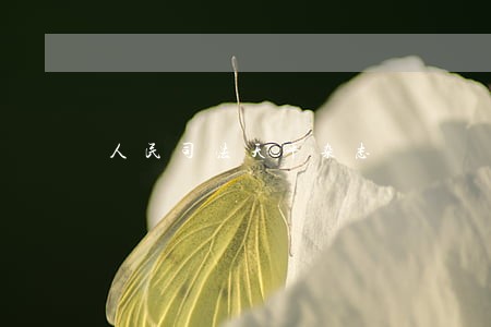 人民司法天平杂志