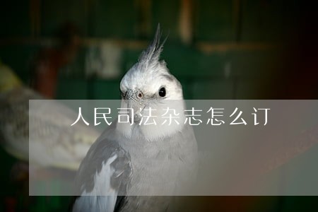 人民司法杂志怎么订 人民司法杂志怎么订