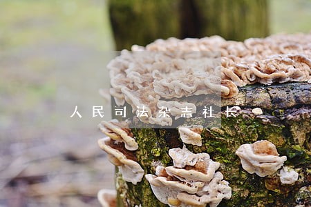 人民司法杂志社长 人民司法杂志社长