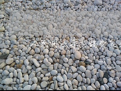 人民司法杂志稿费怎么查