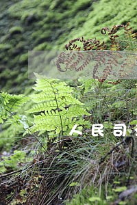 人民司法的人民司法编辑部 人民司法的人民司法编辑部