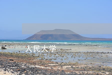 人民大学 人民大学