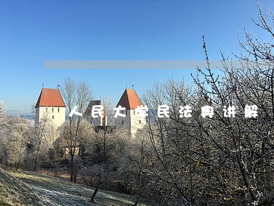 人民大学民法典讲解 人民大学民法典讲解
