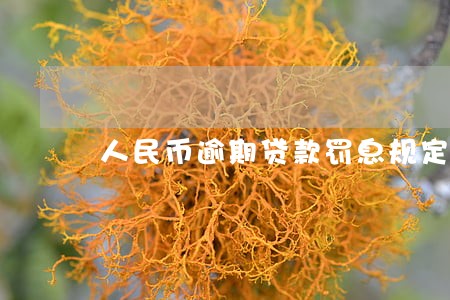 人民币逾期贷款罚息规定 人民币逾期贷款罚息规定