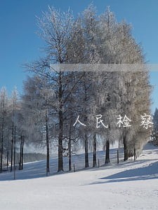人民检察院分为哪四级