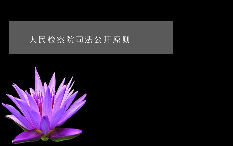 人民检察院司法公开原则
