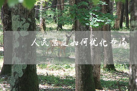 人民法庭如何优化布局 人民法庭如何优化布局