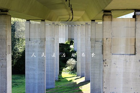 人民法治版面费