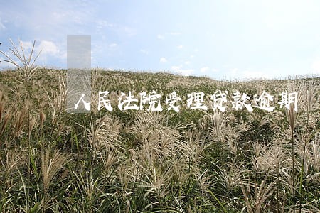 人民法院受理贷款逾期 人民法院受理贷款逾期