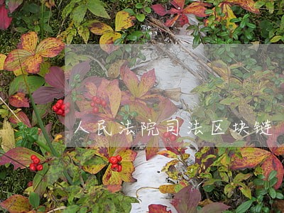人民法院司法区块链 人民法院司法区块链
