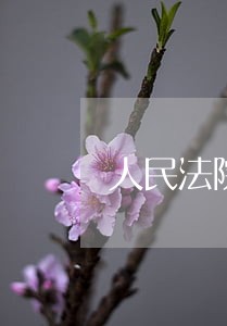 人民法院司法建议书扫黑 人民法院司法建议书扫黑