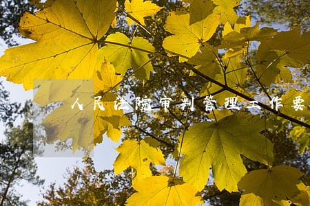人民法院审判管理工作要点
