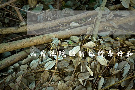 人民法院强制执行条件和程序 人民法院强制执行条件和程序