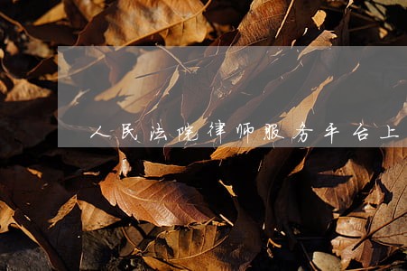 人民法院律师服务平台上线 人民法院律师服务平台上线
