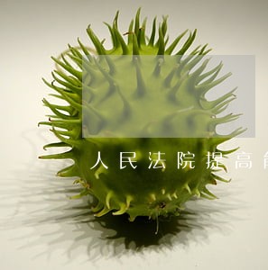 人民法院提高能力 人民法院提高能力