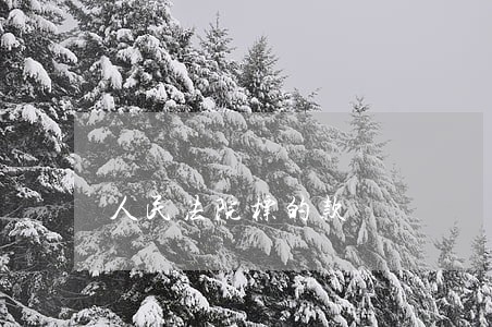 人民法院标的款