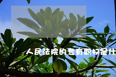 人民法院的专有职权是什么