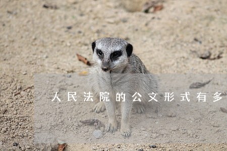 人民法院的公文形式有多少种