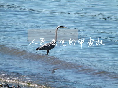 人民法院的审查权 人民法院的审查权