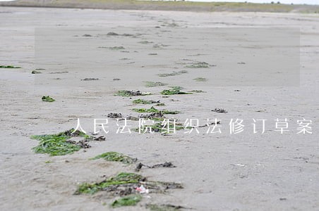 人民法院组织法修订草案纪实