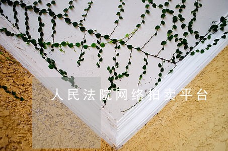 人民法院网络拍卖平台