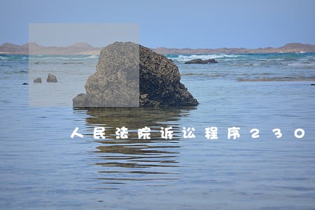 人民法院诉讼程序2300问 人民法院诉讼程序2300问