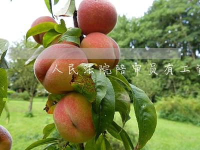 人民法院陪审员有工资一般是多少