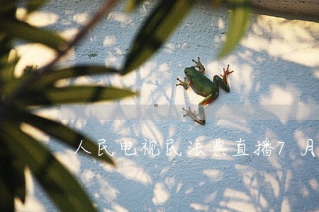 人民电视民法典直播7月29日 人民电视民法典直播7月29日