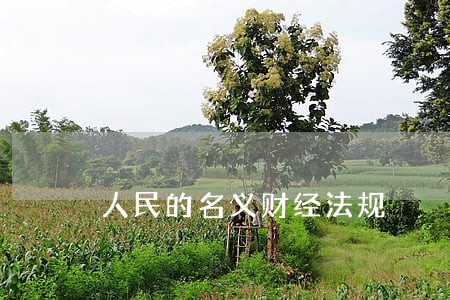 人民的名义财经法规 人民的名义财经法规