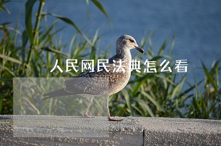人民网民法典怎么看 人民网民法典怎么看